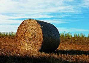 bale of hay