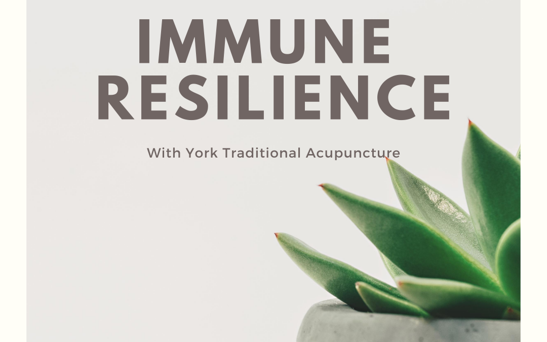 Acupuncture Supports Immunity